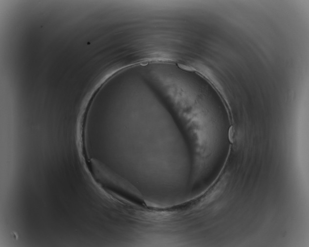 X0000089721243200706281525