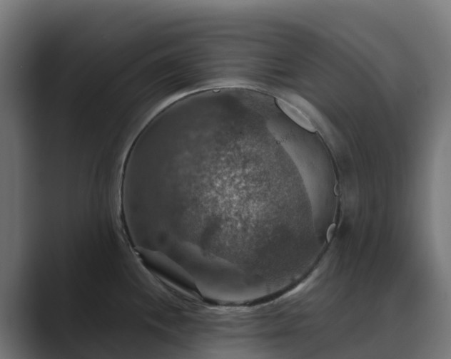 X0000089721244200706281525