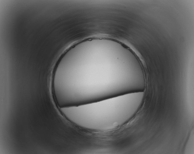X0000089721245200706281525