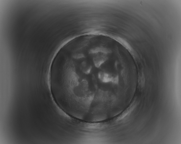 X0000089721247200706281525