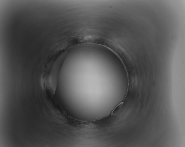 X0000089721250200706281524