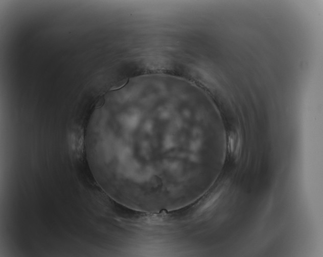 X0000089721251200706281524