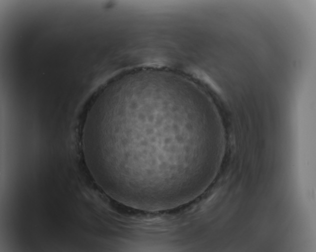 X0000089721256200706281524