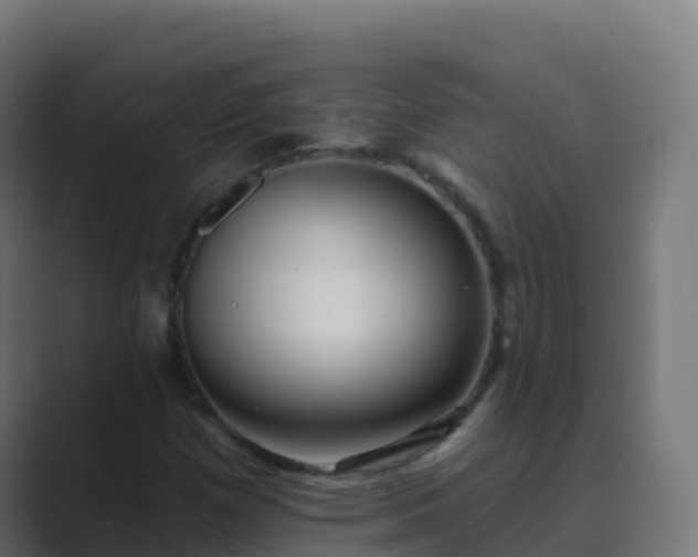 X0000089721257200706281524