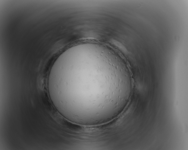 X0000089721258200706281524