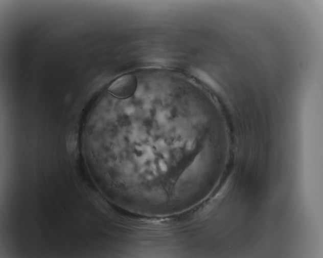 X0000089721259200706281524