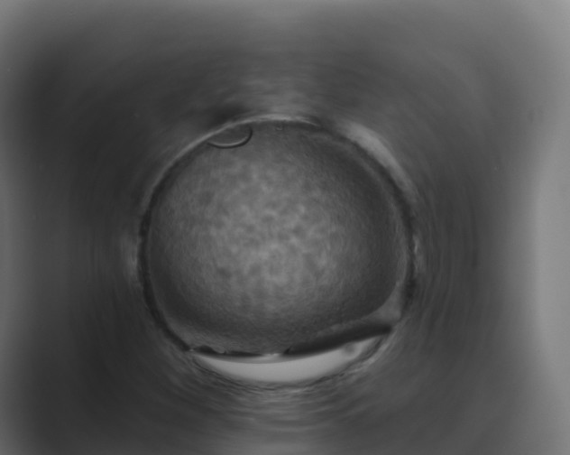 X0000089721260200706281524