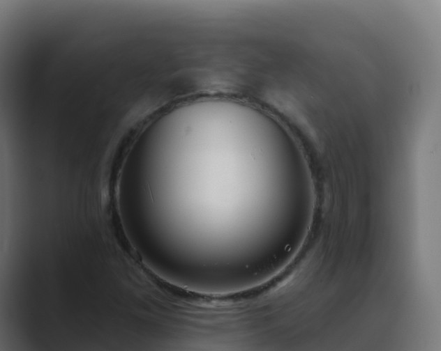 X0000089721261200706281524