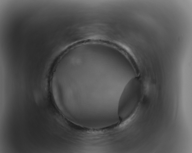 X0000089721263200706281524