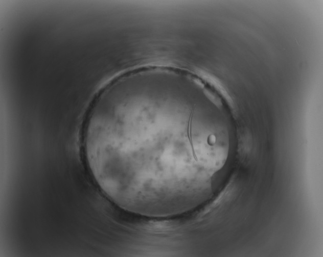 X0000089721264200706281524