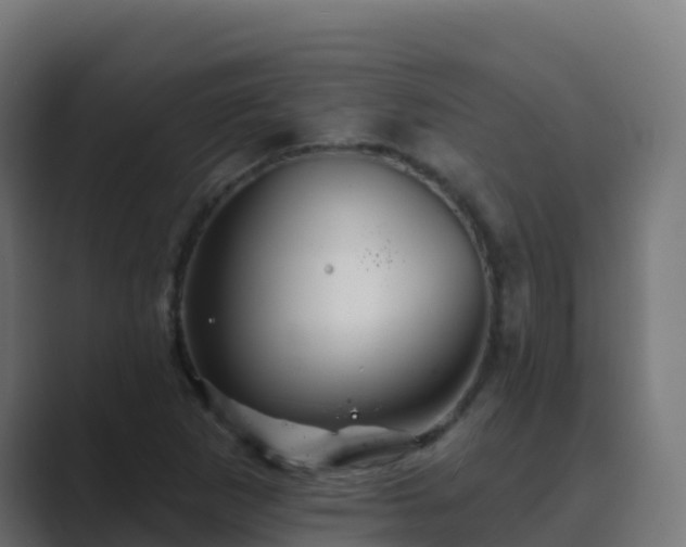 X0000089721265200706281524