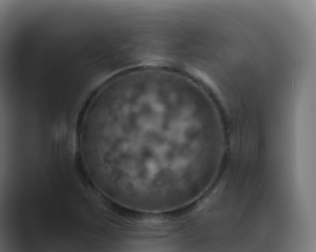 X0000089721267200706281524