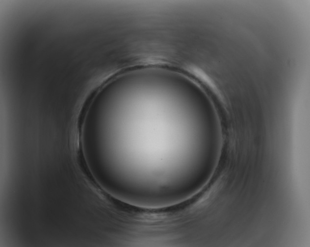 X0000089721269200706281524