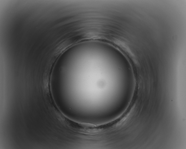 X0000089721273200706281524