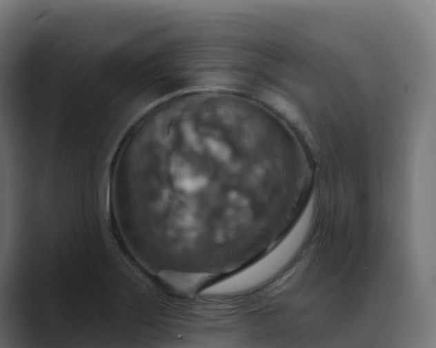 X0000089721275200706281524