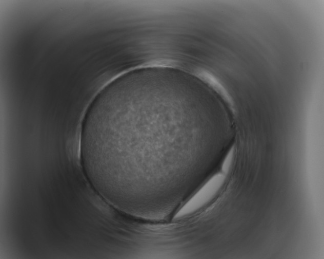 X0000089721276200706281524