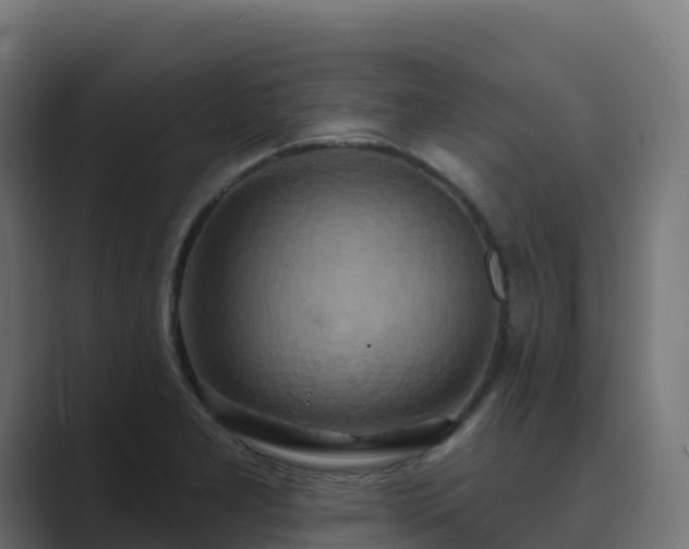 X0000089721277200706281524