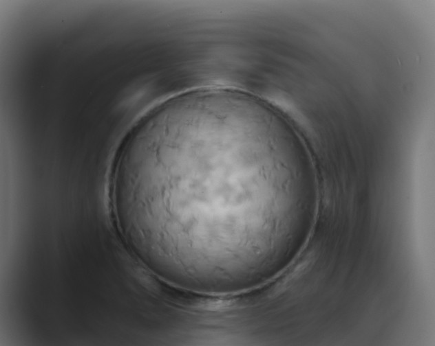 X0000089721278200706281524