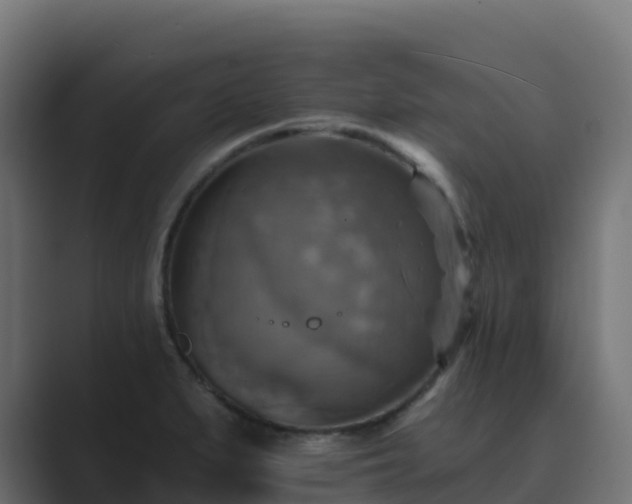 X0000089721279200706281524