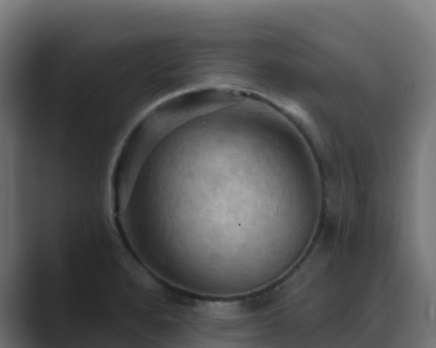 X0000089721280200706281524