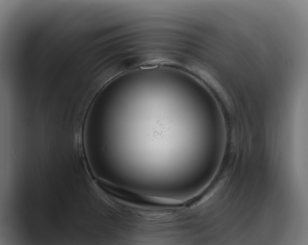 X0000089721281200706281524