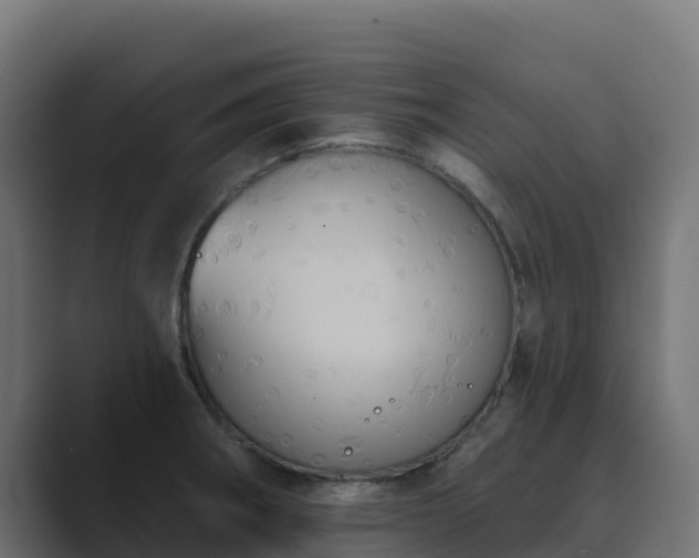 X0000089721282200706281524