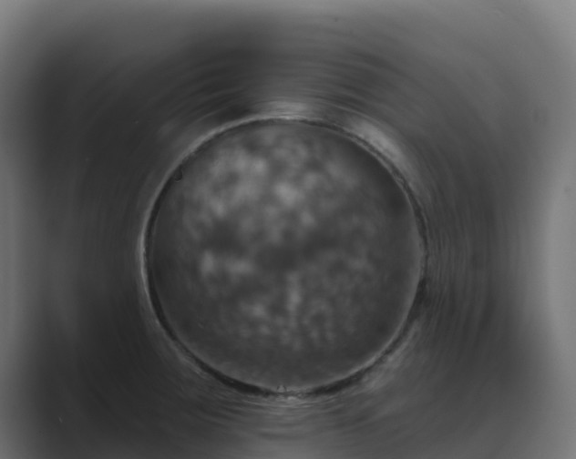 X0000089721283200706281524