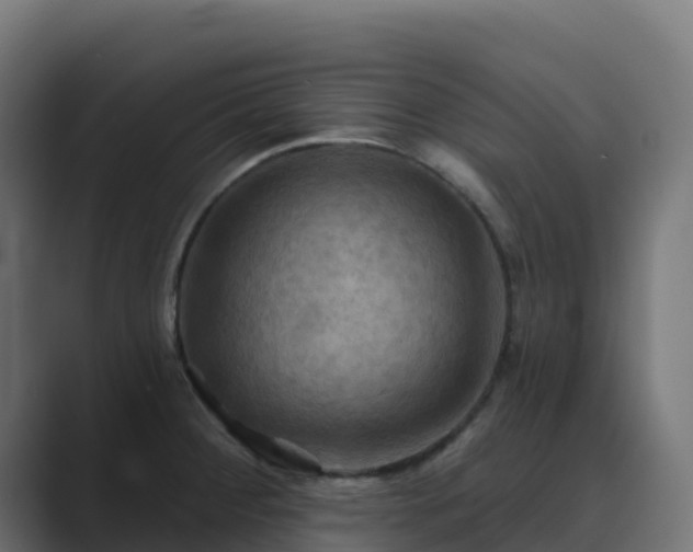 X0000089721284200706281524