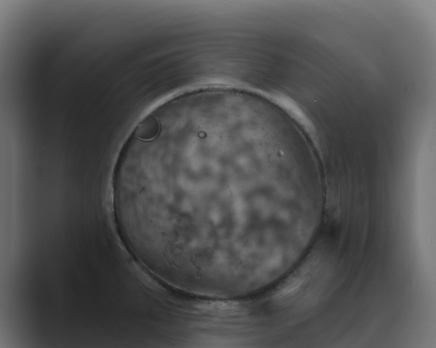 X0000089721287200706281524