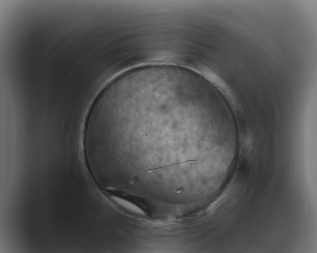 X0000089721288200706281524