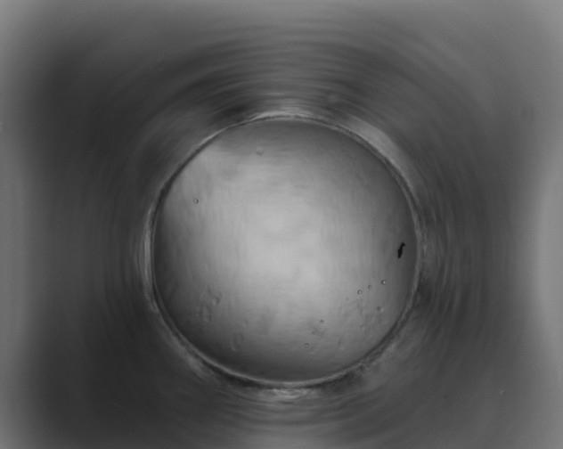 X0000089721290200706281524