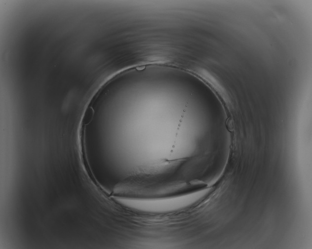 X0000089721291200706281524