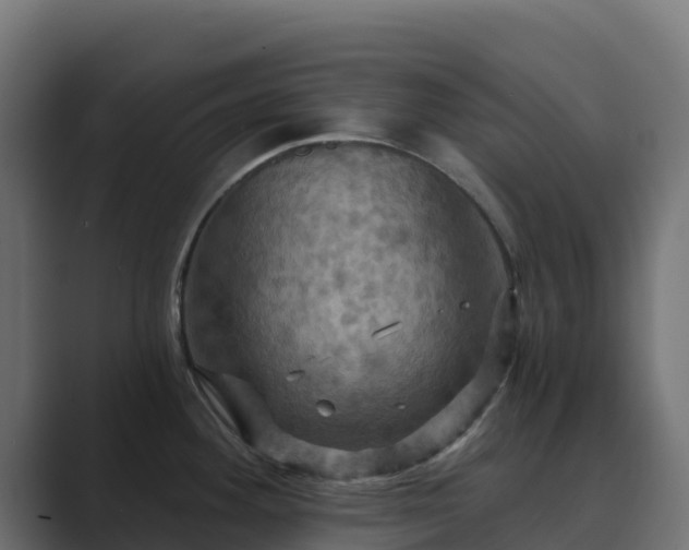 X0000089721292200706281524