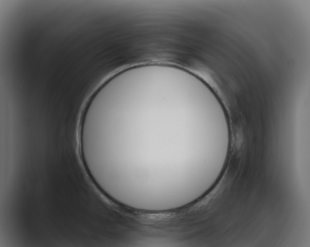 X0000089721294200706281524