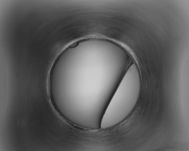 X0000089721295200706281524