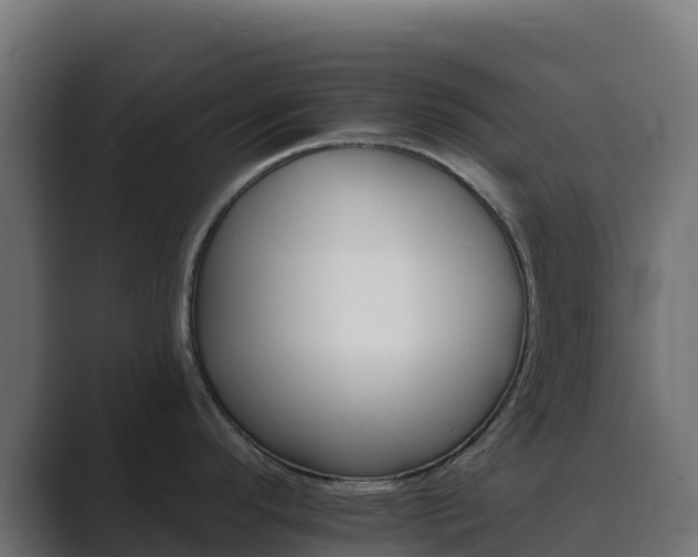 X0000089721296200706281524
