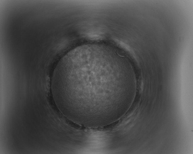 X0000089721301200706281523