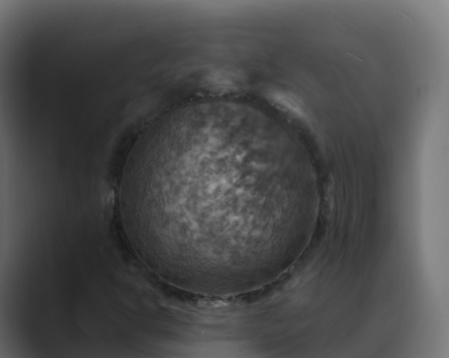 X0000089721302200706281523
