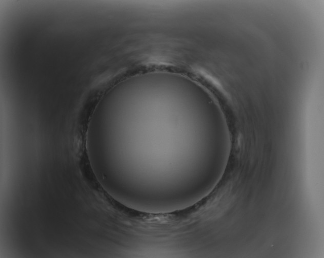 X0000089721303200706281523