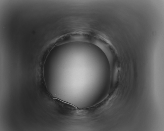 X0000089721304200706281523