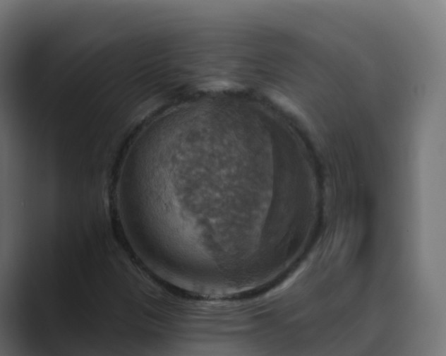 X0000089721305200706281523