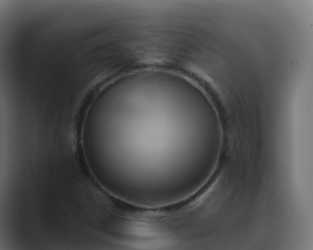 X0000089721306200706281523