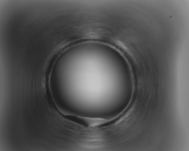 X0000089721307200706281523
