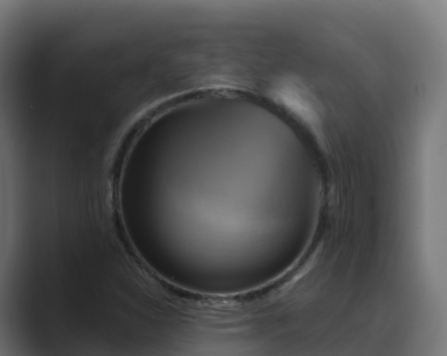 X0000089721310200706281523