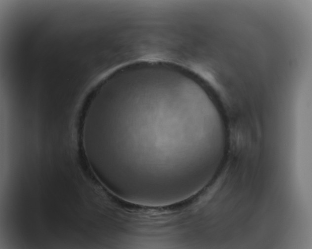X0000089721311200706281523