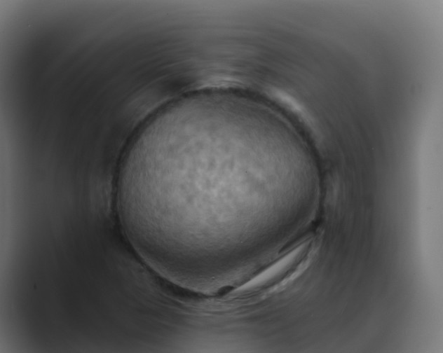 X0000089721313200706281523