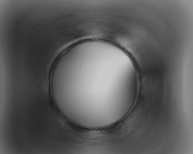 X0000089721316200706281523