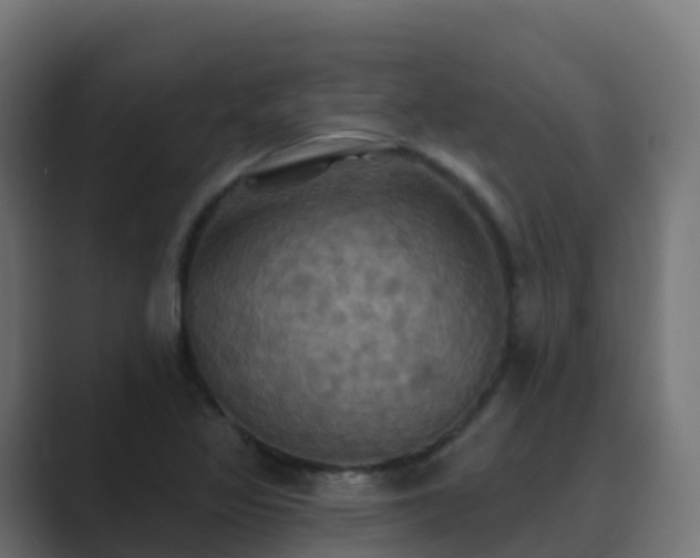 X0000089721317200706281523