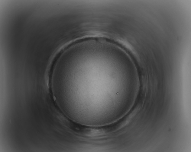 X0000089721318200706281523