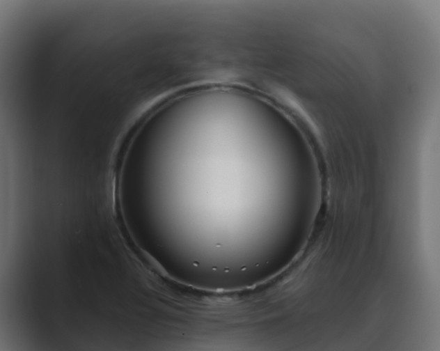X0000089721320200706281523